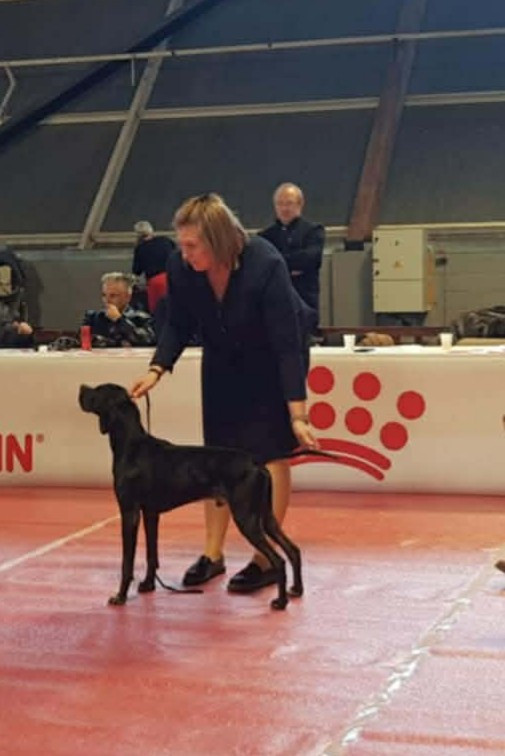 Exposition Nationale d'AMIENS