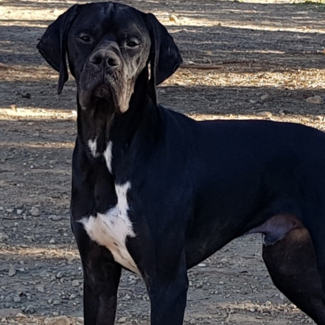 Exposition Nationale de CAMBRAI