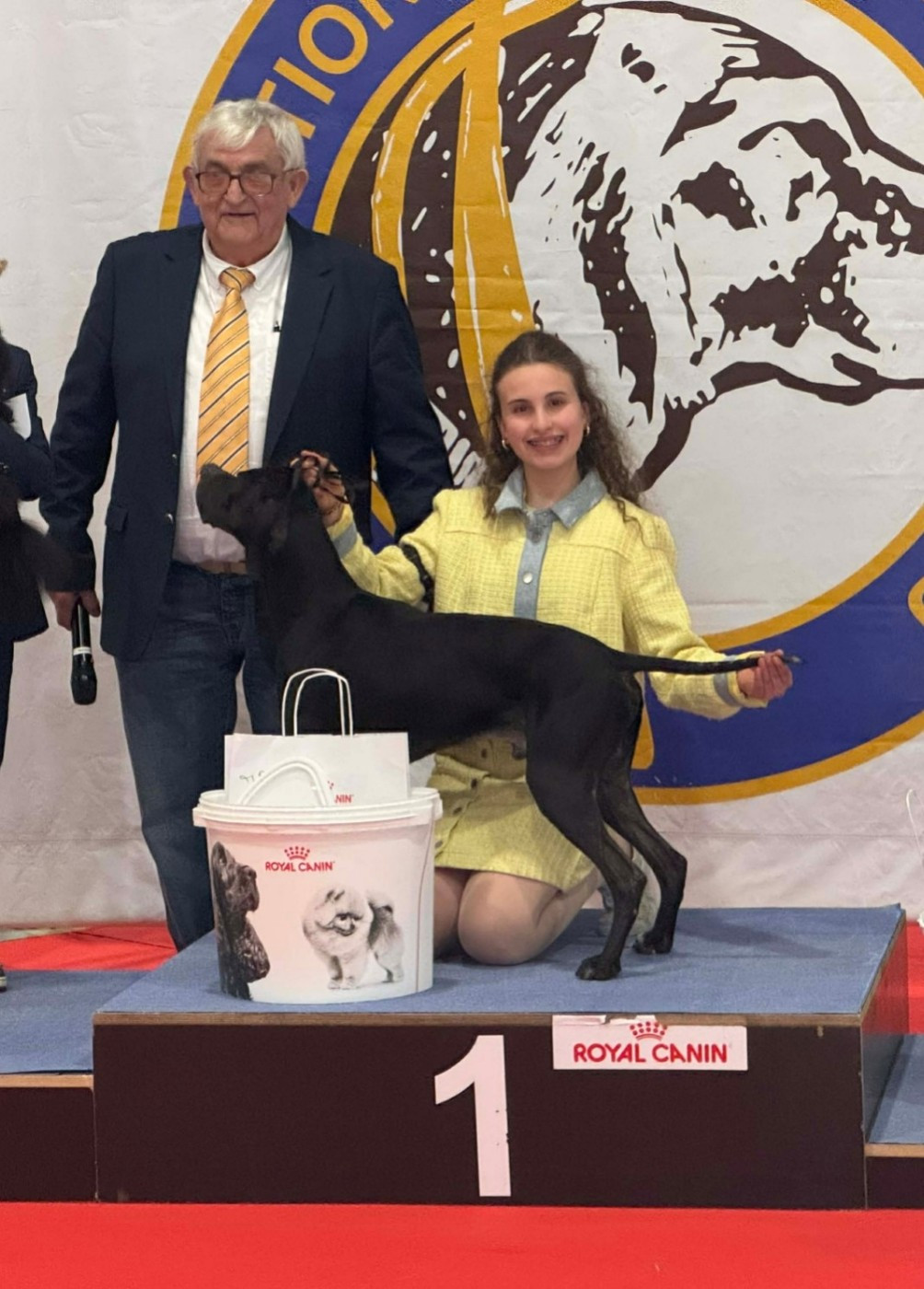 des conquérants d'Oc - ANGERS : ring d'honneur