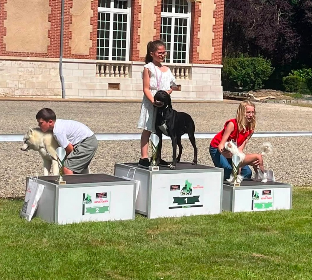 MIGNIERES : Ring d'honneur