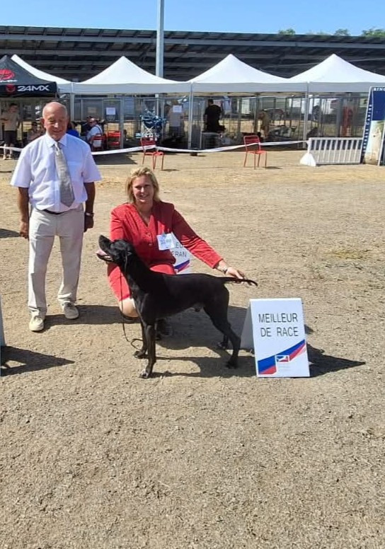 des conquérants d'Oc - Championnat de France
