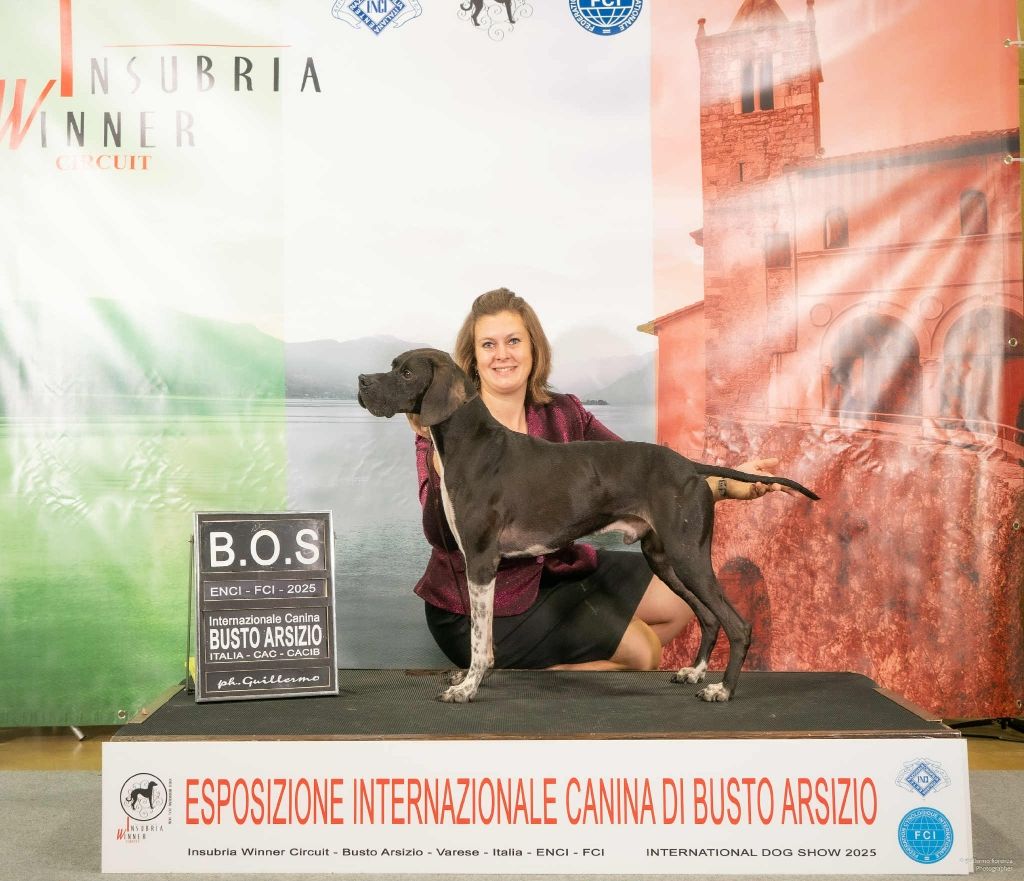 Exposition Internationale BUSTO ARSIZIO